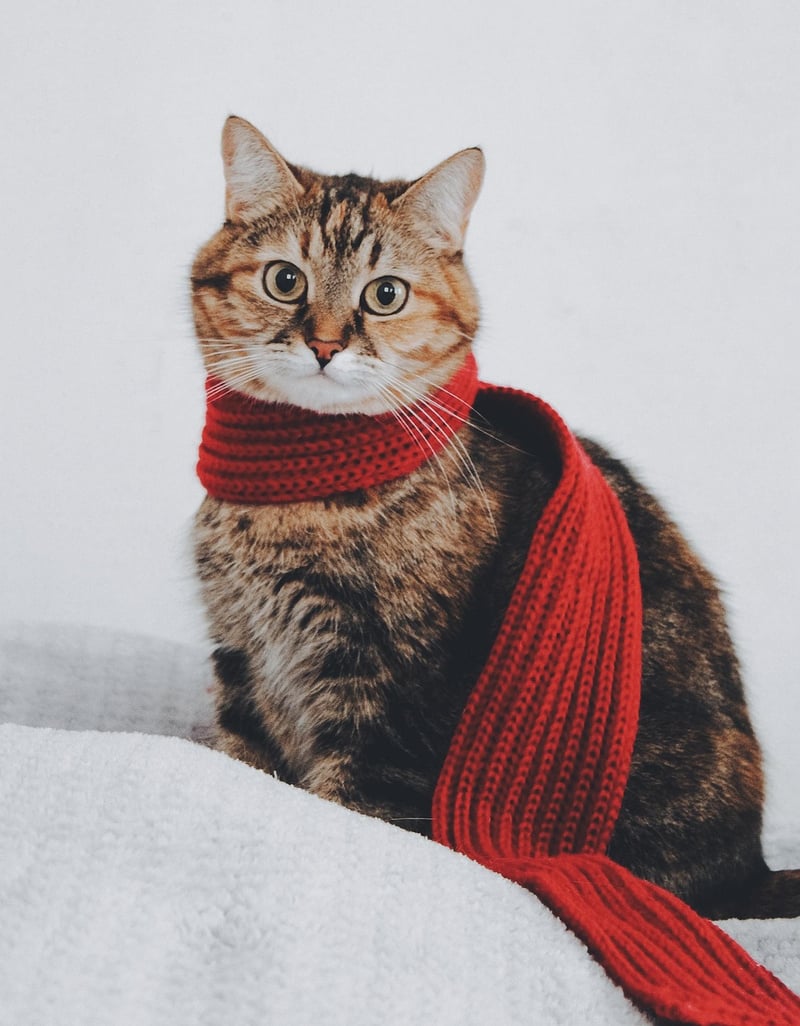 Scarf repurposing